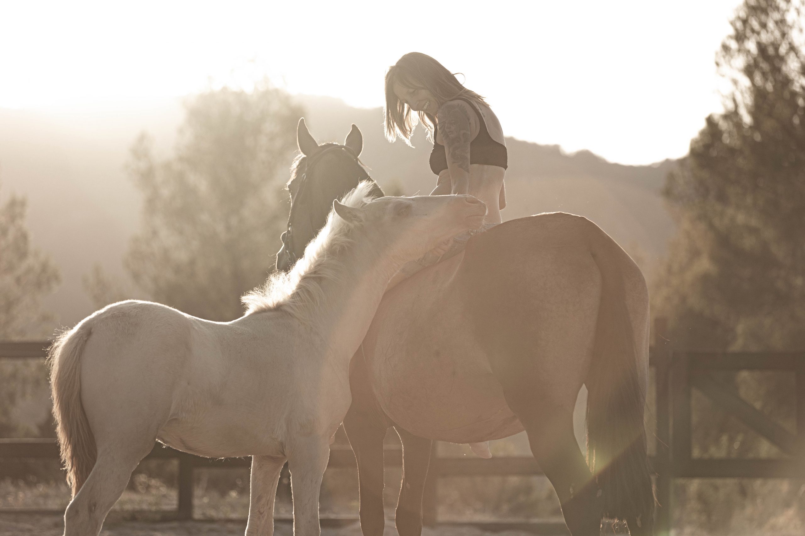 Propietarios que desean comprender antes de exigir