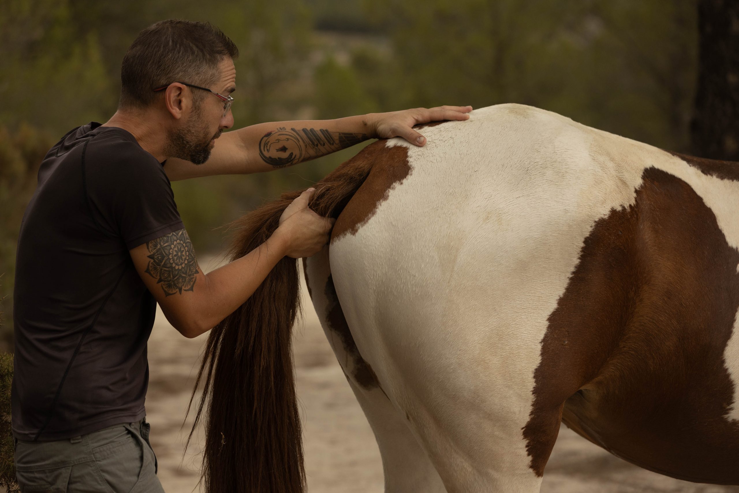 Osteopatía equina: revisión biomecánica