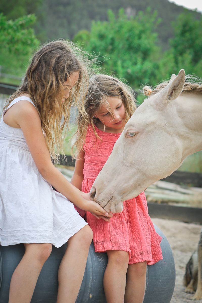 sesión de fotos familiar con caballo