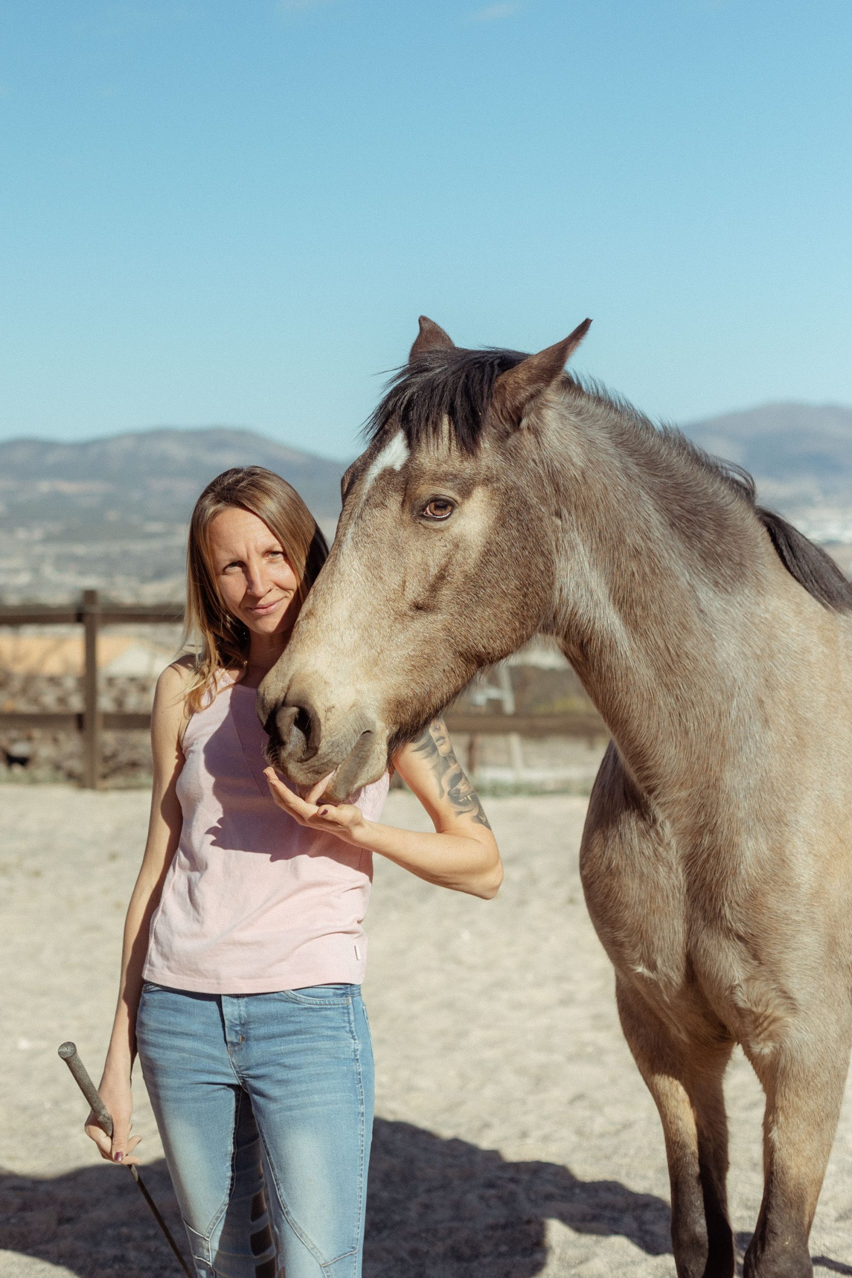 Kine Equus