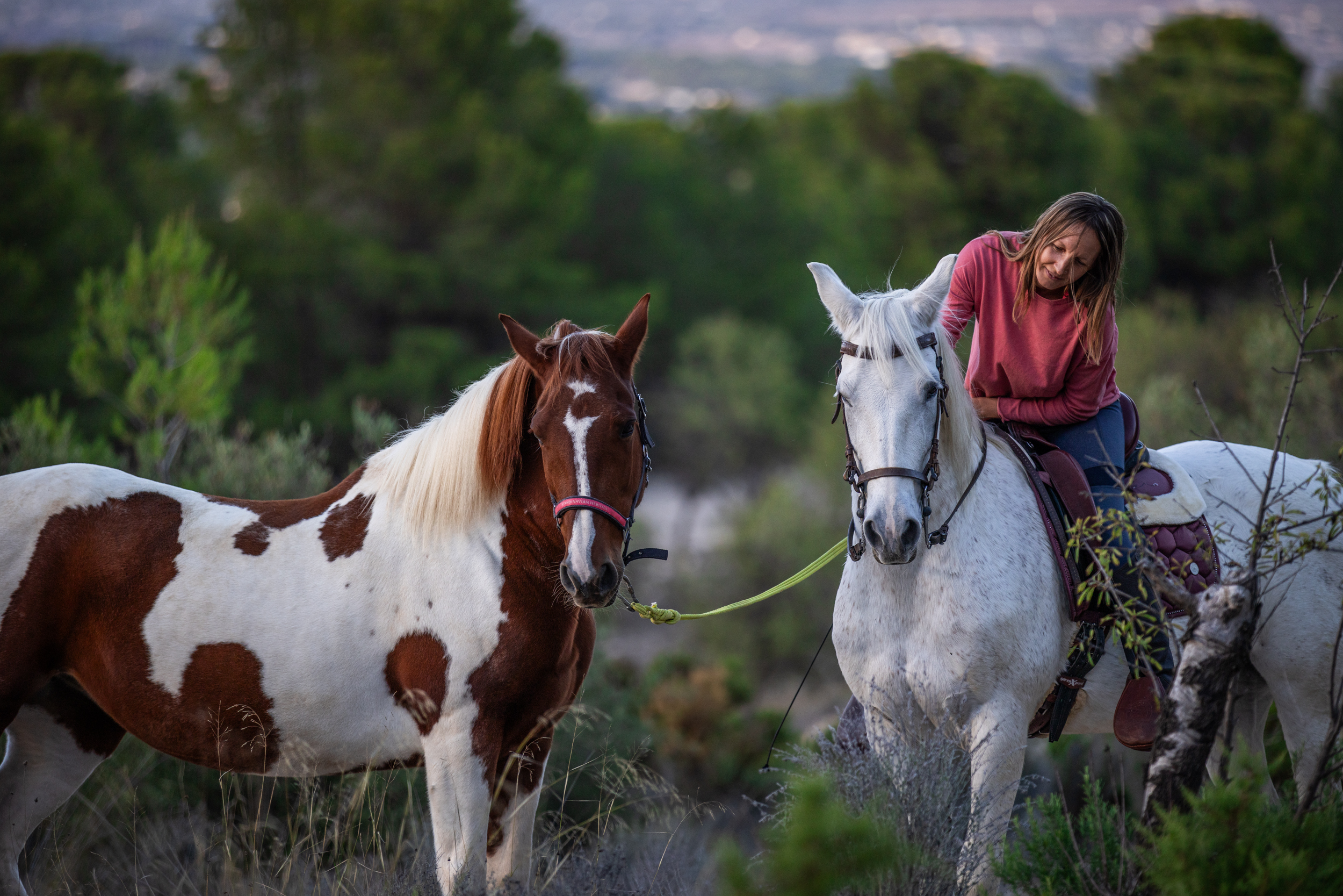 Una yegua calmada liderando a un caballo joven en un camino, escena de exterior.