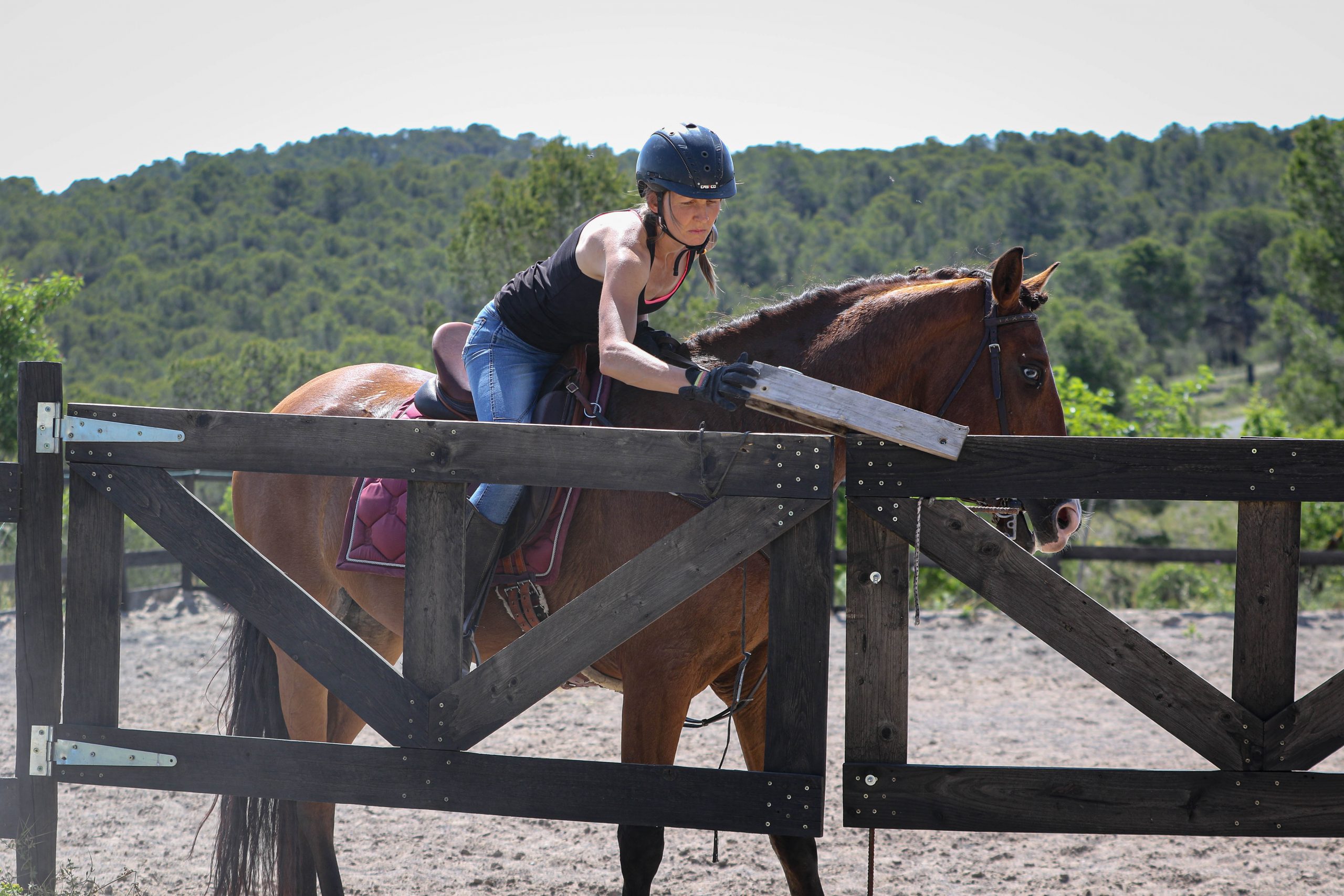 Trabajo desde la silla inspirado en working equitation para propiocepción y confianza