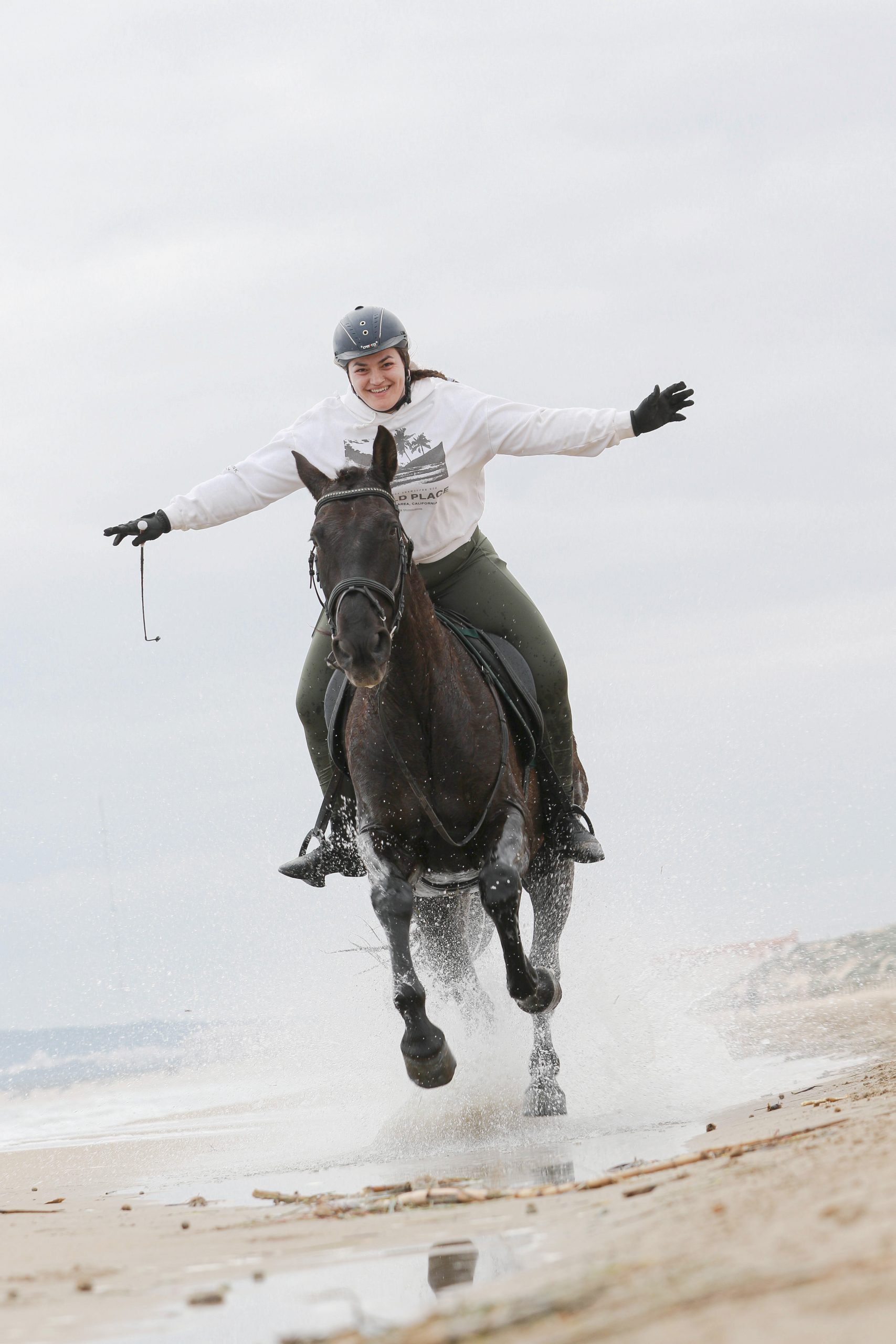 fotografía equina en la playa Alicante