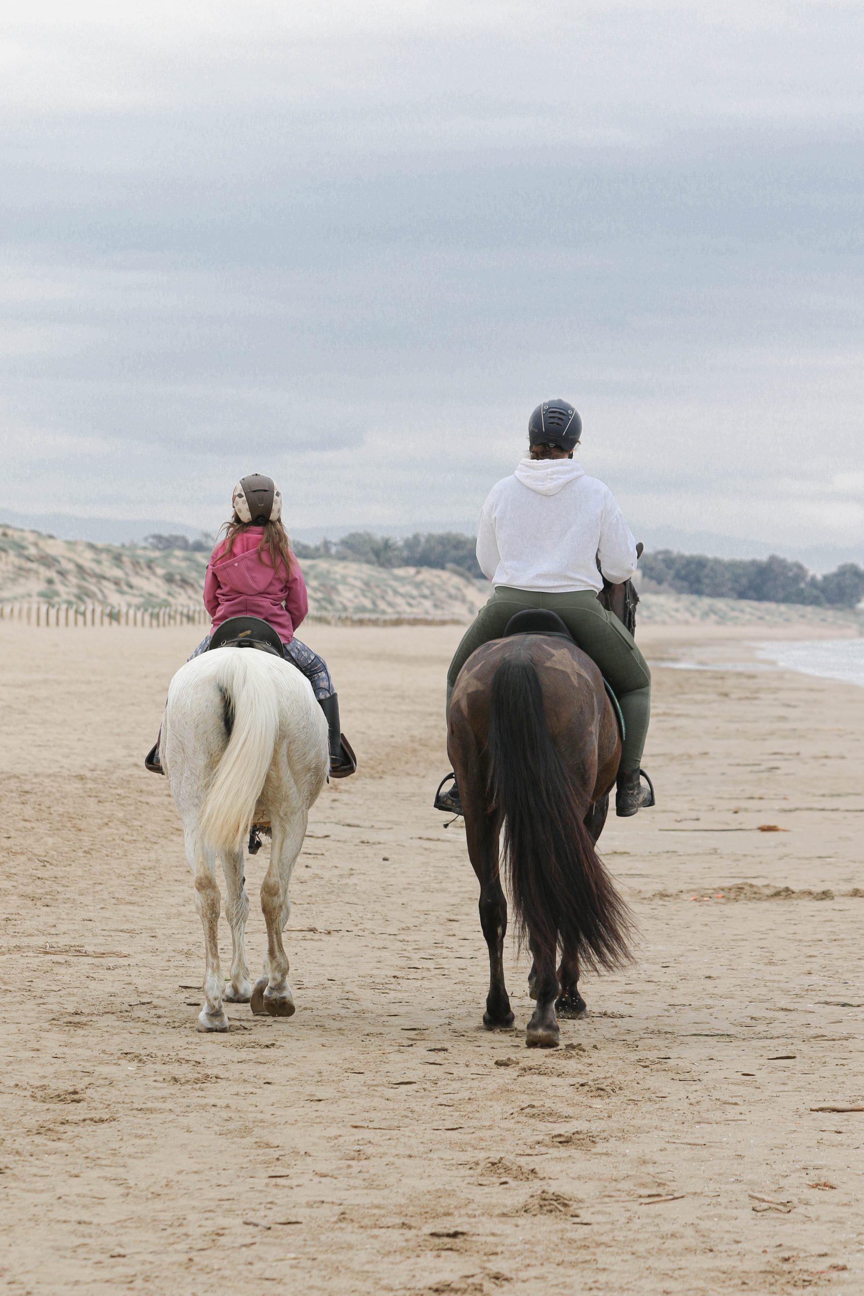 qué llevar a una sesión de fotos con caballos