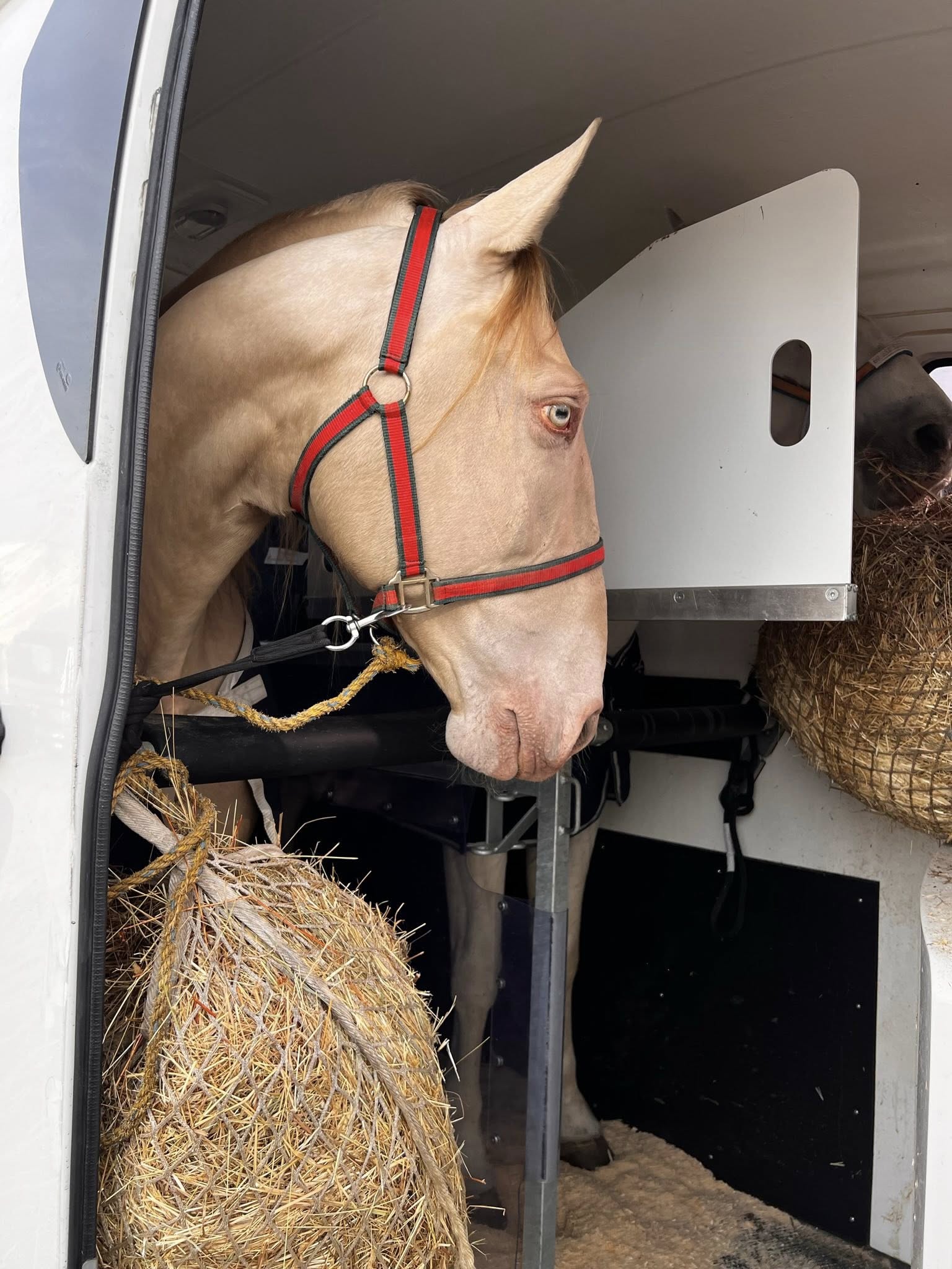 Redes de heno disponibles durante el viaje