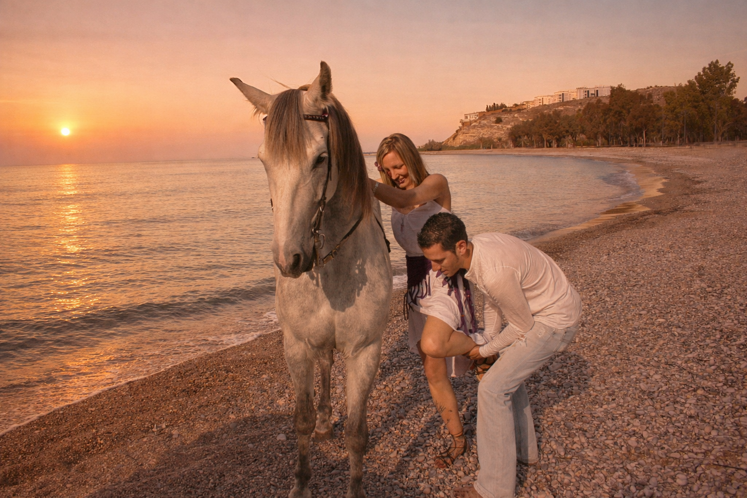 fotografía equina al amanecer