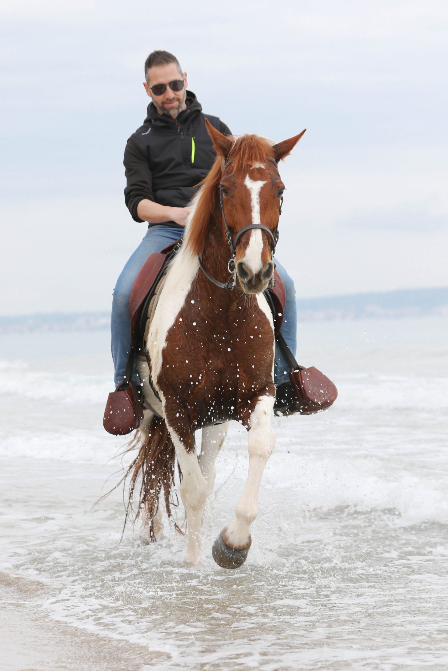 fotografía caballo y jinete conexión