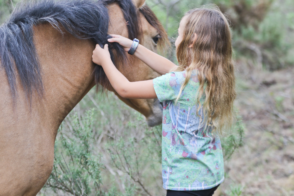 sesión de fotos con caballos en Alicante
