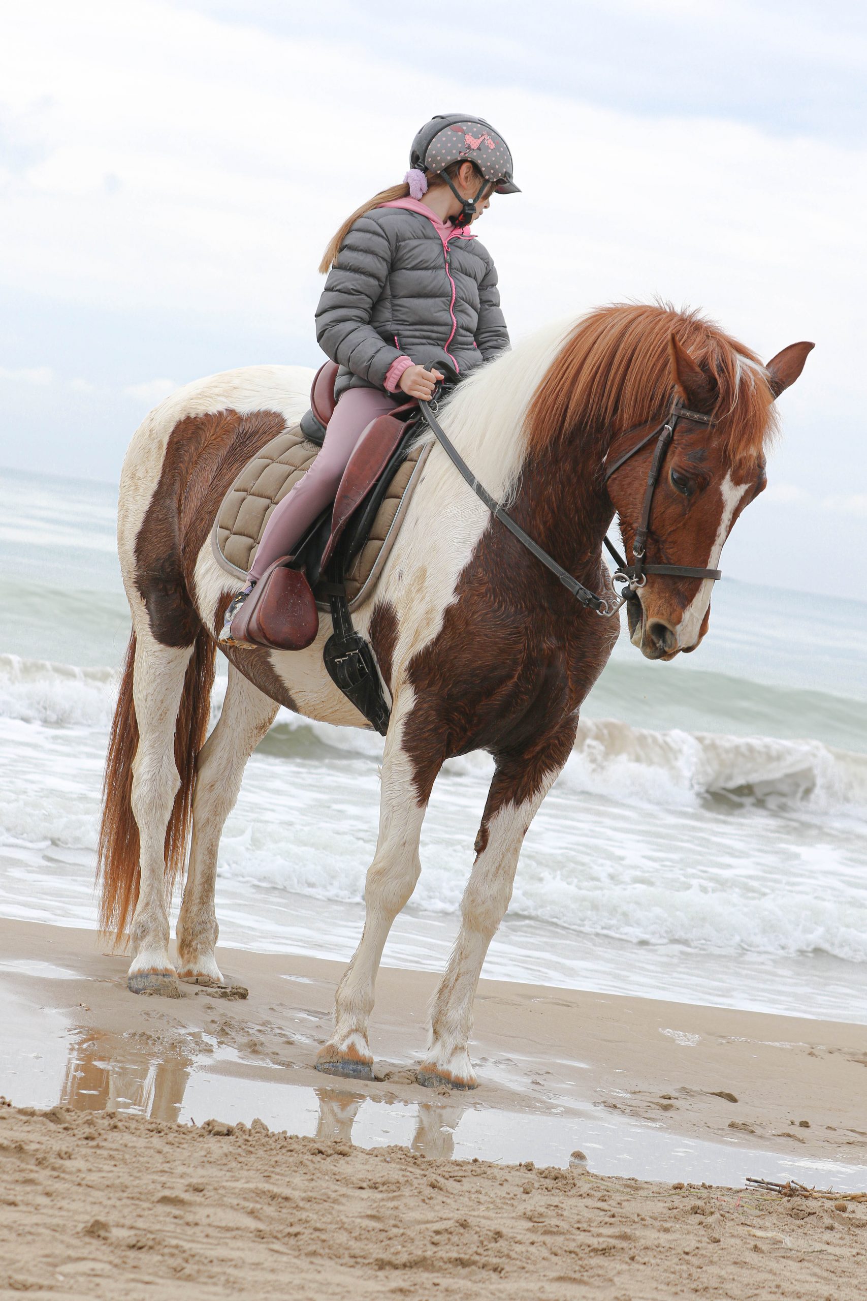 sesión de fotos con caballos en la playa Alicante