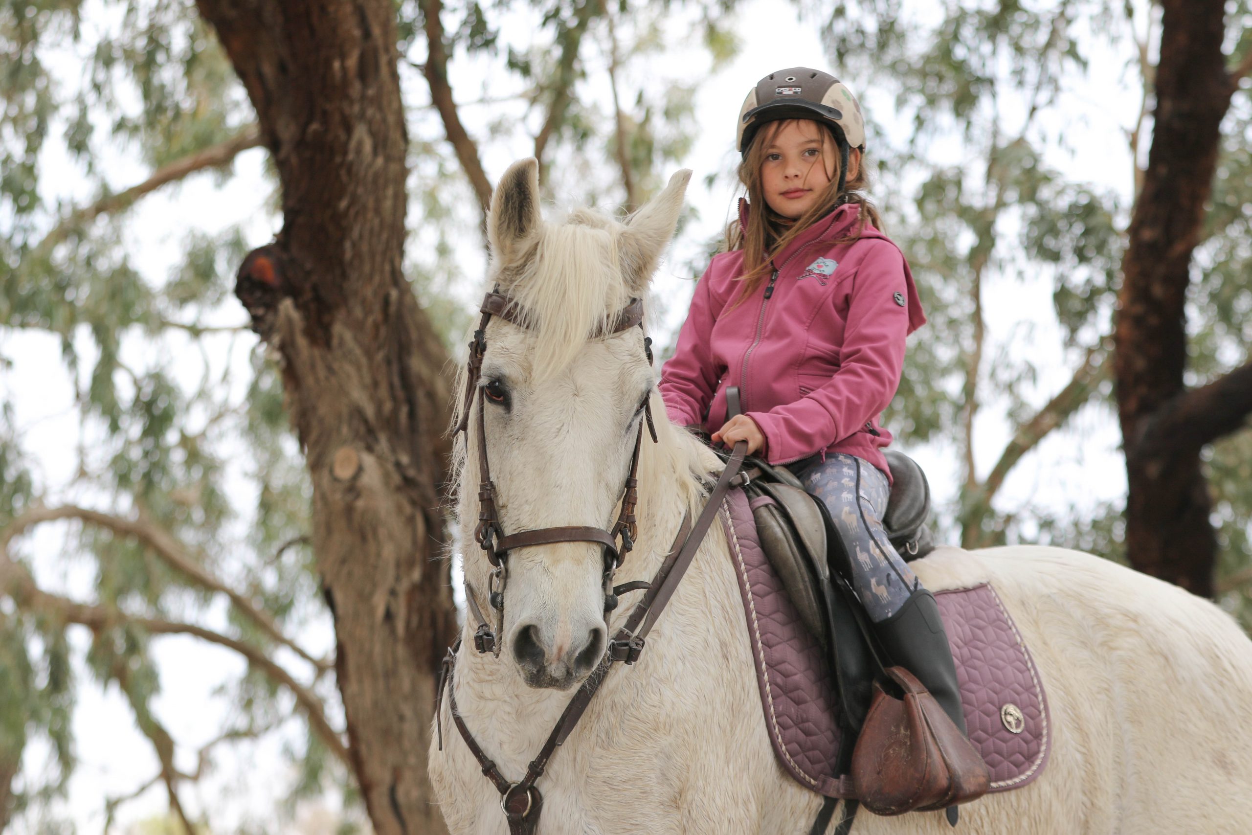 fotografía ecuestre natural en Alicante campo