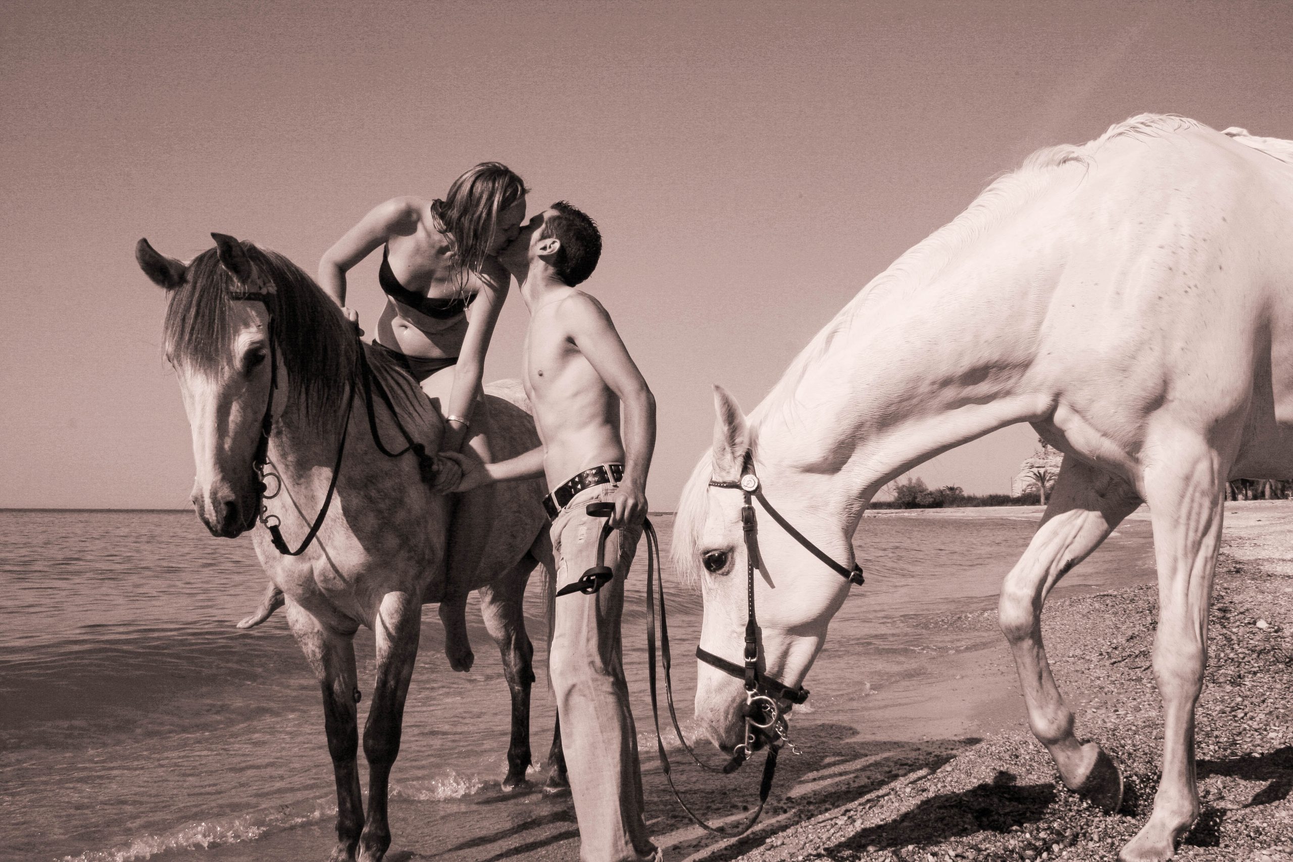 sesión de fotos con caballos en Alicante