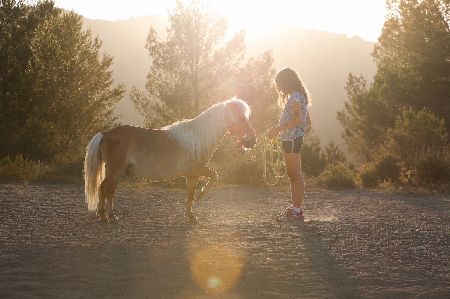 Experiencias de verano con caballos en Alicante