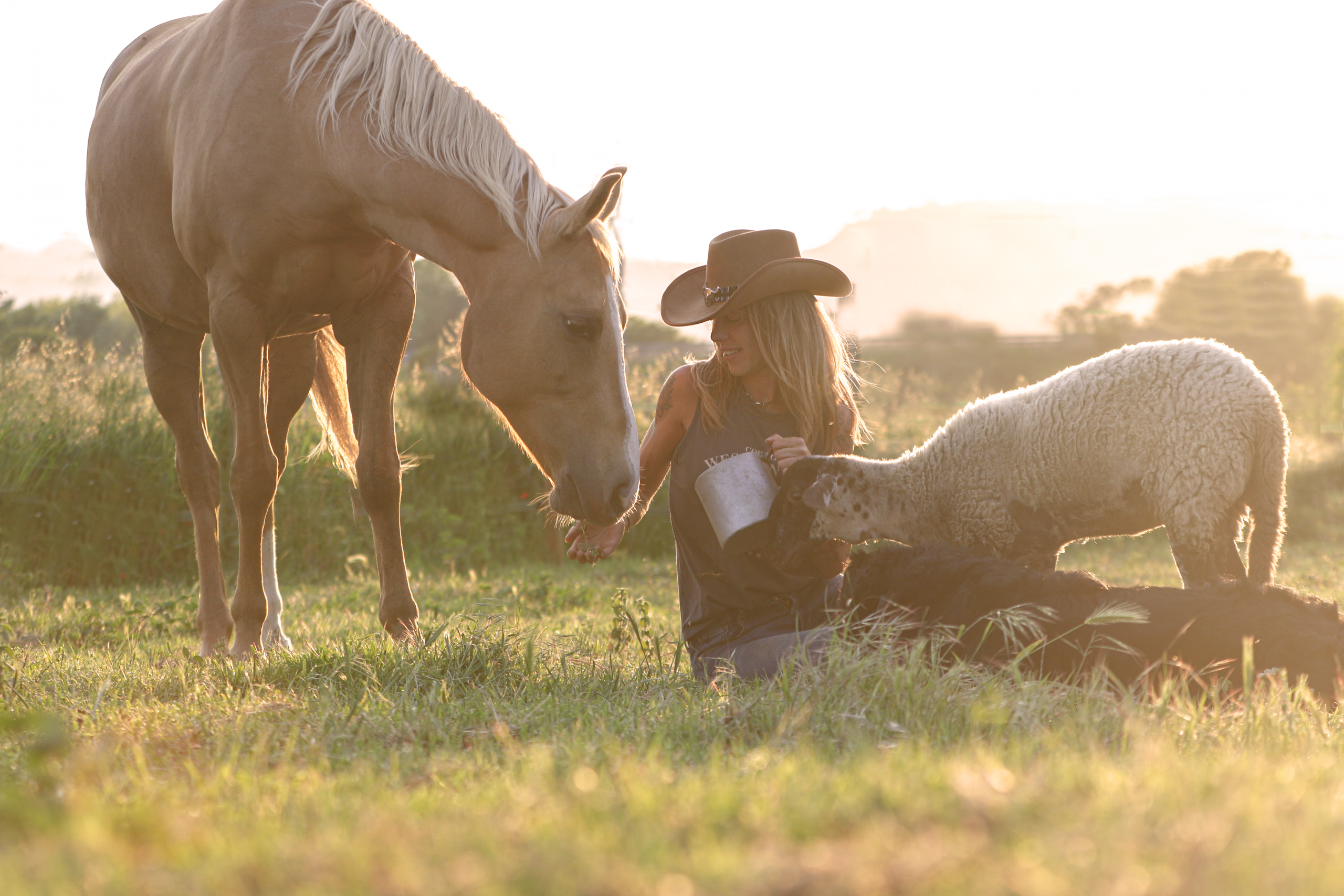 Horse experiences and photography in Alicante